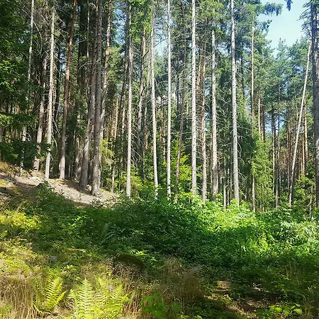 Malebna U Javorniku Na Sumave Holiday home *